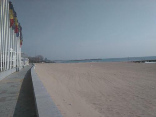 Hostal Pensiunea Scoika Steaguri Neptun
