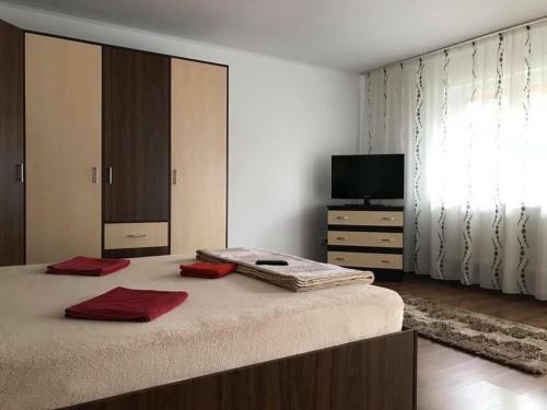 Hostal Pensiunea Lui George