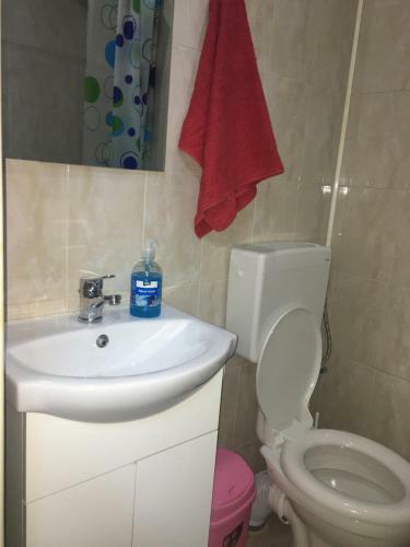 Hostal Pensiunea Lui George