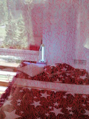Hostal Pensiunea Izabel