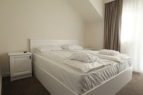 Hostal Pensiunea Hanna
