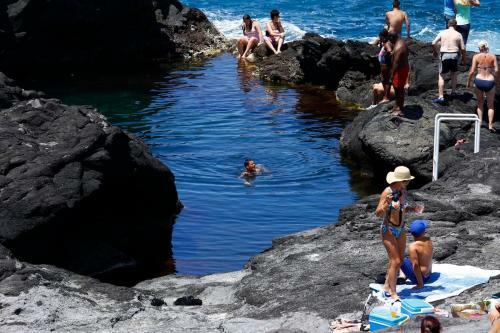 Magn�lia