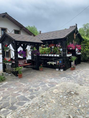 Casa Malec
