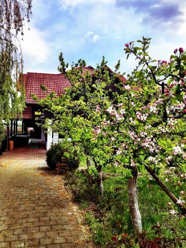 Hostal Apfelhaus