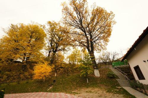 Hostal Stejarul Lui Andrei