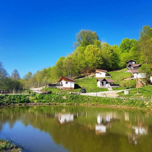Hostal Satu Muscelean