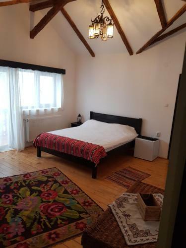 Hostal Satu Muscelean