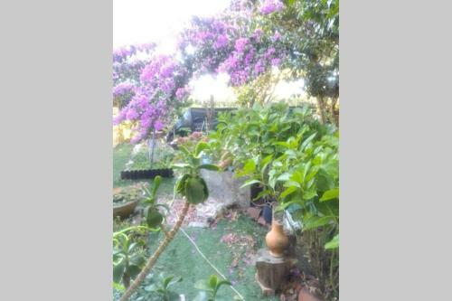 Boutique Country House - Nadadouro