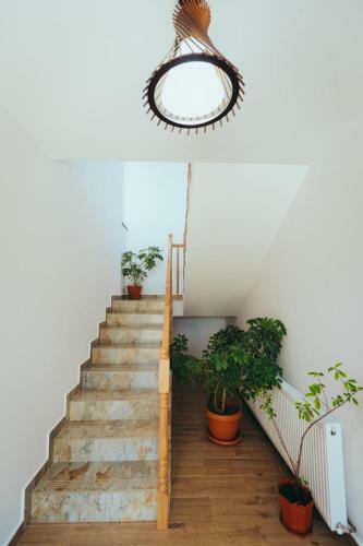 Hostal Pensiunea Bianca