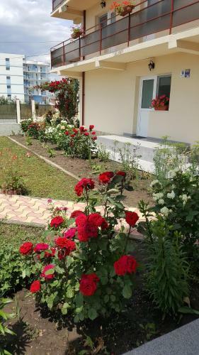 Hostal Timona- Camere de �nchiriat