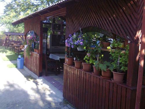 Hostal Gms House Costinesti