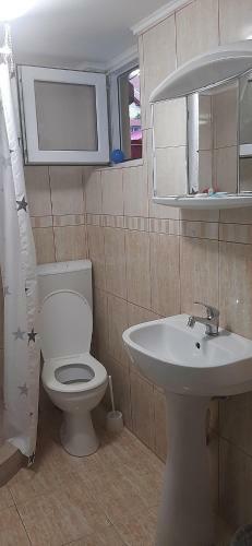 Hostal Pensiunea Albatros