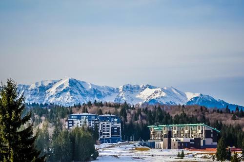 Art Gallery Apartment In Silver Mountain