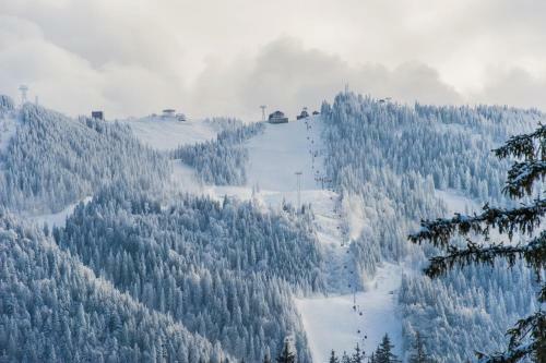 Forest Apartment Silver Mountain Resort