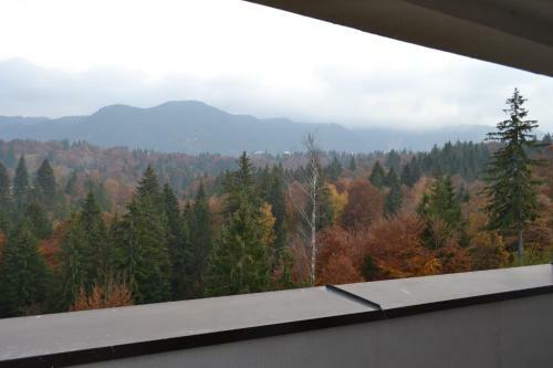 Forest Apartment Silver Mountain Resort
