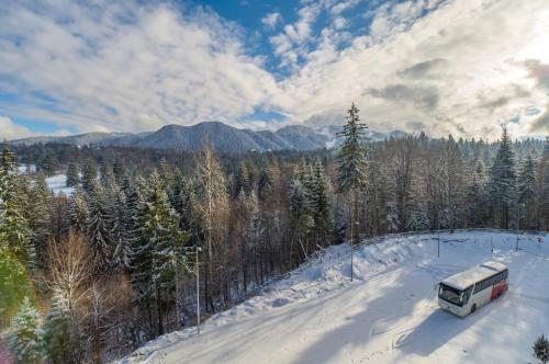 Forest Apartment Silver Mountain Resort