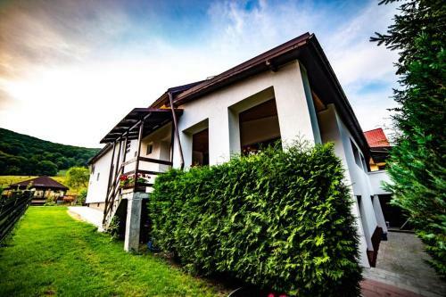 Hostal Poiana Cristian