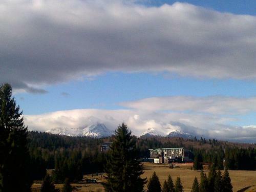 Silver Mountain Apartment