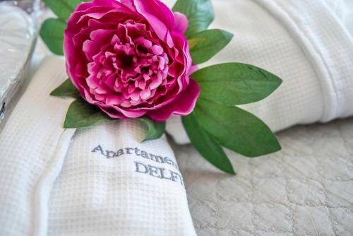 Apartaments Delfin
