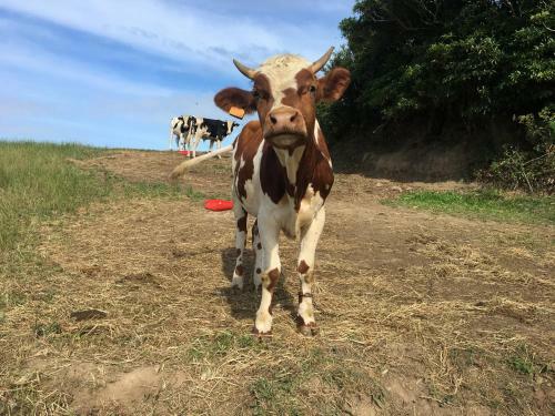 Lar De Santana