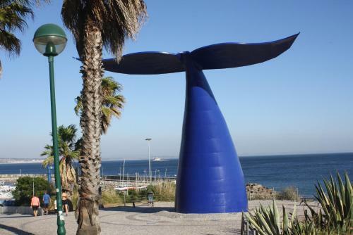 Apartamento Terra�o
