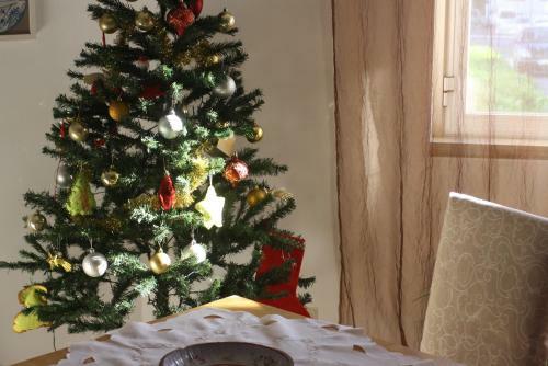 Apartamento Terra�o