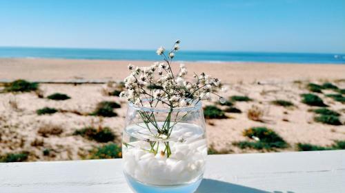 Apartamento Flor Do Mar
