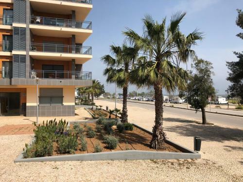 Apartamento Cavalo Marinho