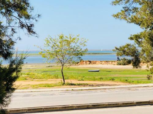 Apartamento Gar�a Real