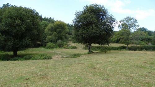 Quinta Da Chanca