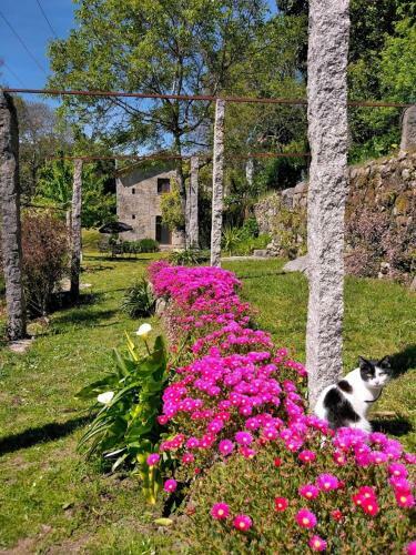 Quinta Da Chanca