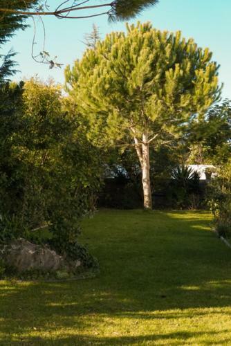 Apartamento Gro�e Wohnung - Balkon Mit Blick - Pool - Garten