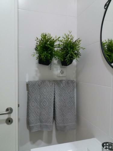 Apartamento Casa Do Z�z�ras