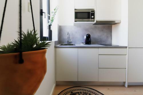Apartamento Sal Da Terra