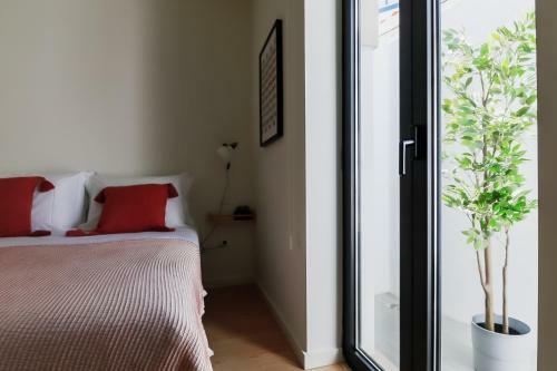 Apartamento Sal Da Terra