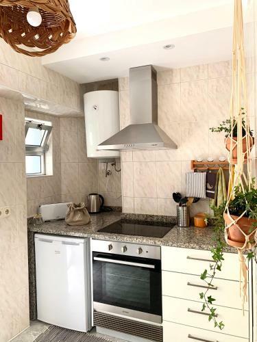 Apartamento A Casa Dos Z�s