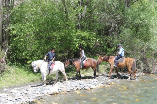 Apartamentos Aig�estortes-baqueira