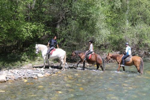 Apartamentos Aig�estortes-baqueira