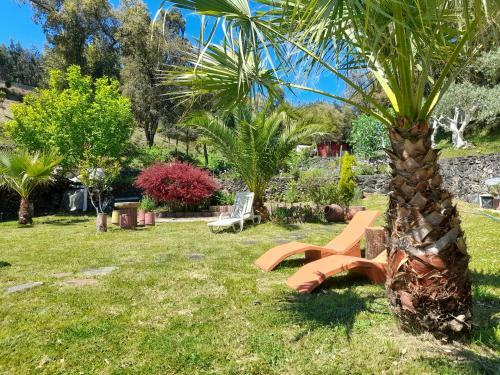 Hostal Quinta Dos Sarilhos