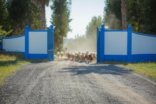 Agroturismo Monte Do Lago, Peg�es