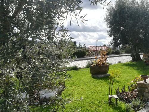 Eiras Do D�o