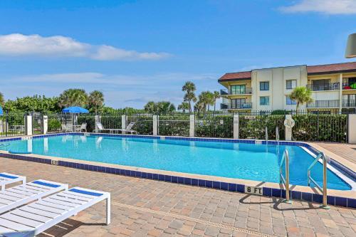 Cape Palms