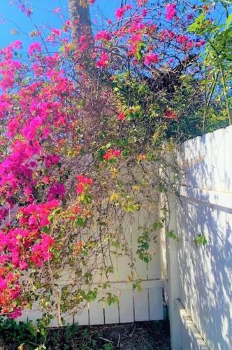 Bright And Beachy 2bed 1bath Home - Unit 210