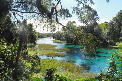 Modern Gem With Private Kayak Dock On Rainbow River!