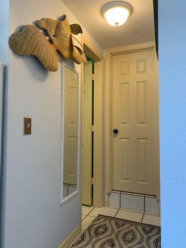Sasha's Vacation Rental