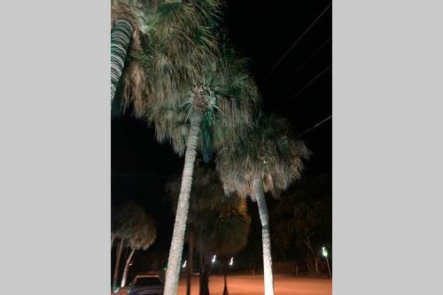 Apartamento Starfish Stays 2b Manasota Key