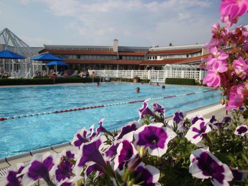 Apparthotel Minerva Diana Octavia