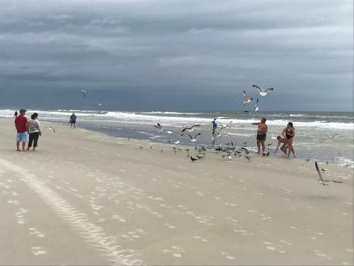Hotel Sea View Apt Building On Daytona Beach