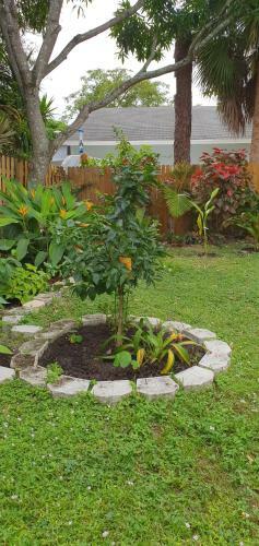 Apartamento Tropical Hideway-close-to-everyhing!