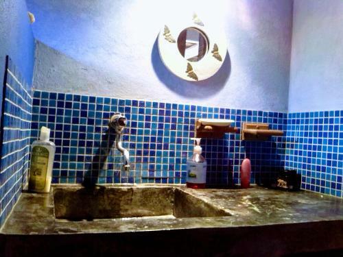 Casajungla Hostel